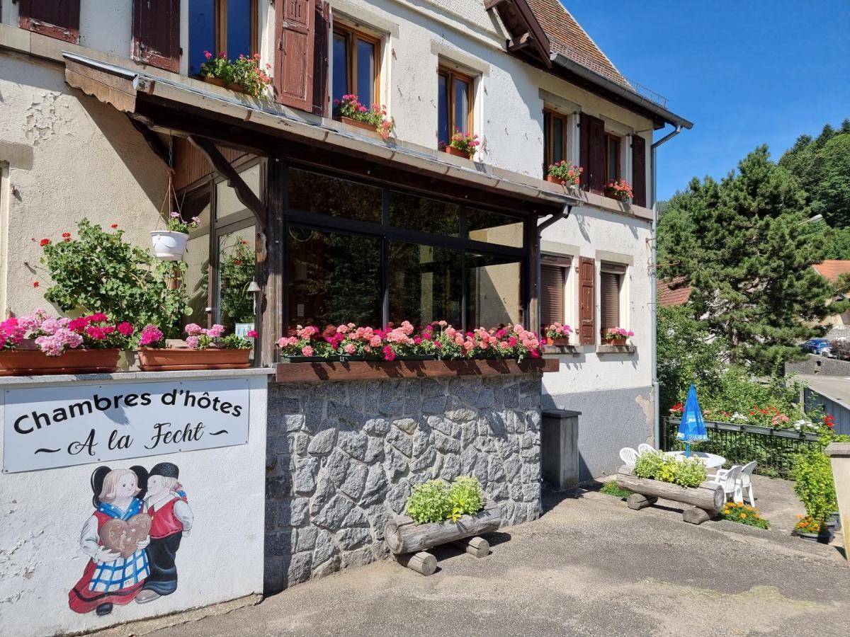 Chambres D'Hotes A La Fecht Nature Et Bien-Etre Sondernach Екстериор снимка