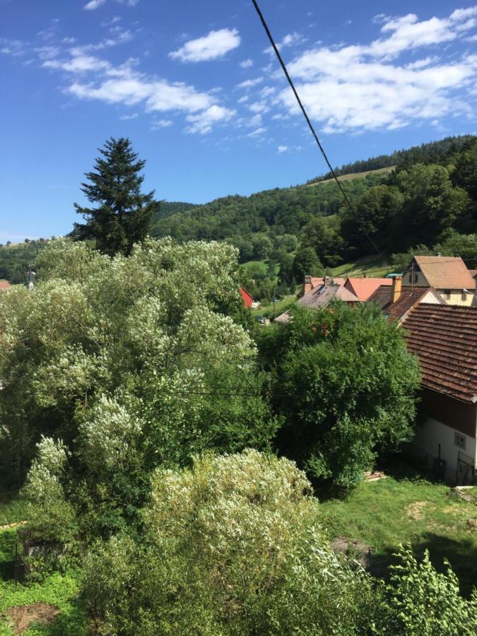 Chambres D'Hotes A La Fecht Nature Et Bien-Etre Sondernach Екстериор снимка