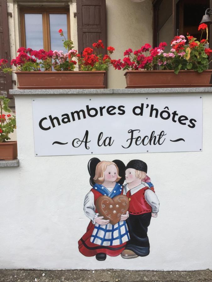 Chambres D'Hotes A La Fecht Nature Et Bien-Etre Sondernach Екстериор снимка